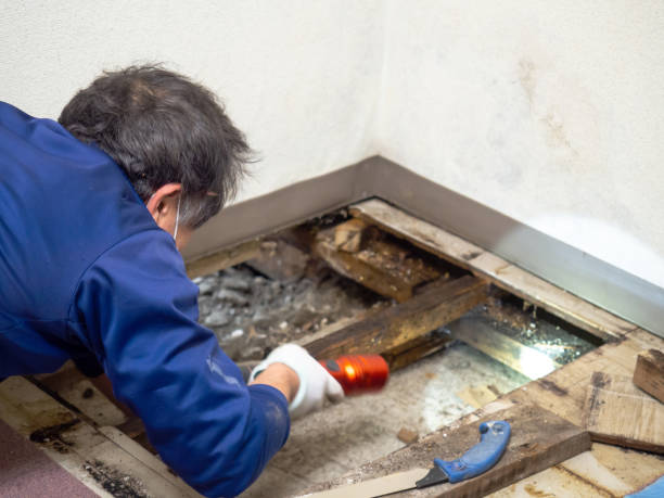 Best Post-Remediation Services in Snyder, OK