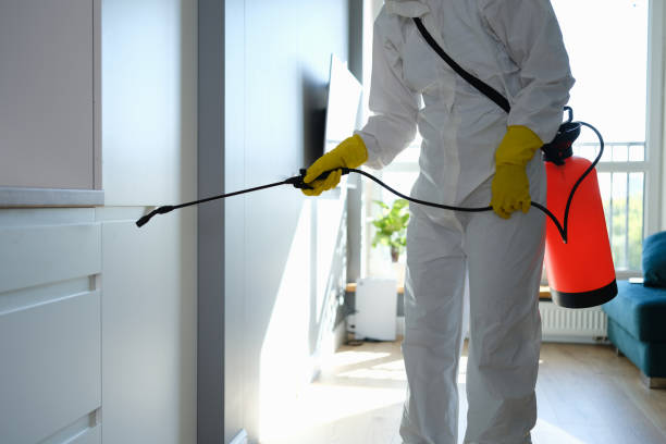 Best Industrial Mold Remediation in Snyder, OK