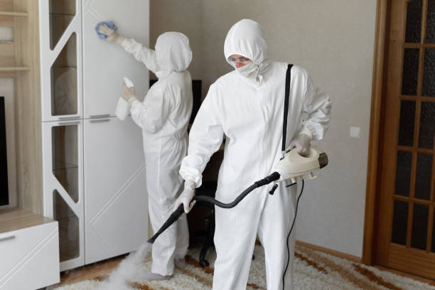 Best Industrial Mold Remediation in Snyder, OK